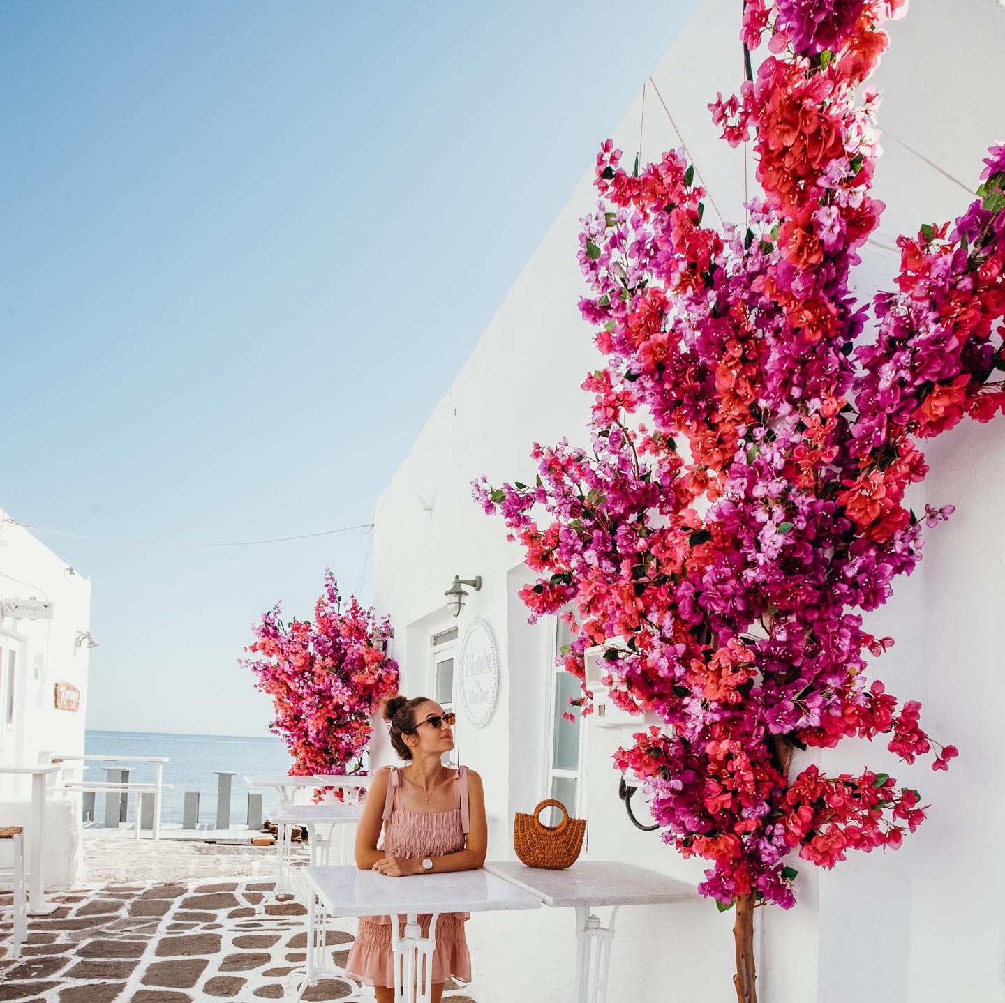 bougainvillea-paros-pink-flowers-naoussa