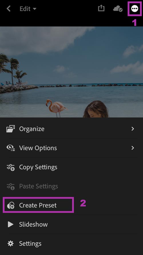 How To Install Lightroom Mobile Presets Without Desktop – Stay Close Travel Far